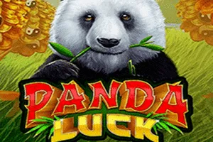 Playtech : Panda Luck - STARBET388