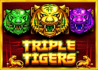 Pragmatic : Triple Tigers - STARBET388