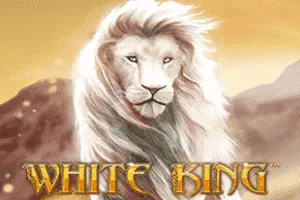 Playtech : White King - STARBET388