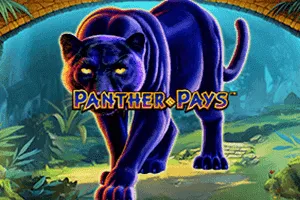 Playtech : Panther Pays - STARBET388
